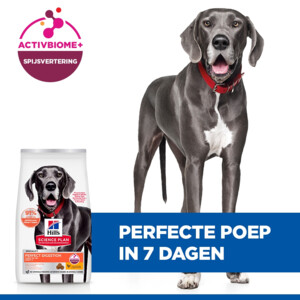 Hill's Science Plan Hondenvoer Droog Adult Perfect Digestion Large Kip - Rijst 14 kg