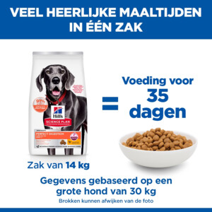 Hill's Science Plan Hondenvoer Droog Adult Perfect Digestion Large Kip - Rijst 14 kg