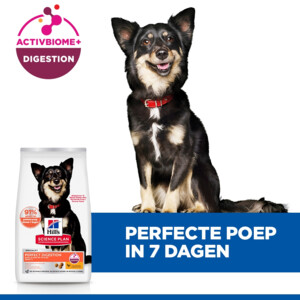 Hill's Science Plan Hondenvoer Droog Adult Perfect Digestion Small & Mini Kip - Rijst 3 kg