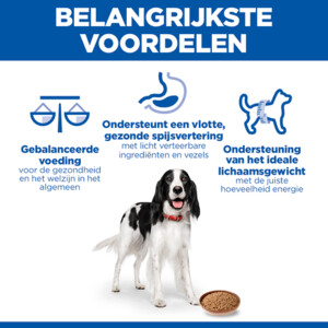 Hill's Science Plan Hondenvoer Nat Adult Kalkoen 12 x 370 gr