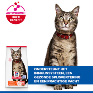 Hill's Science Plan Kattenvoer Droog Adult Zalm 3 kg