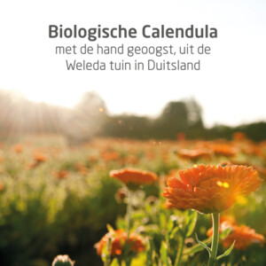 WELEDA Baby Calendula Bodycrème - 7.85 euro