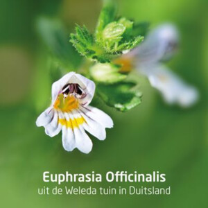 3x WELEDA Ogentroost Oogdruppels Flacon - 29.16 euro