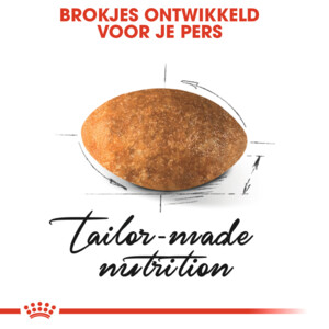 Royal Canin Kattenvoer Droog Persian Adult 400 gr