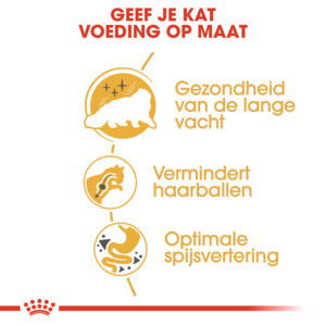 Royal Canin Kattenvoer Droog Persian Adult 400 gr