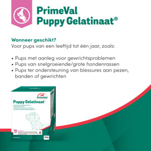 PrimeVal Gelatinaat Puppy 350 gr