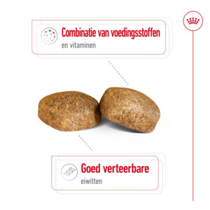 Royal Canin Giant Adult Hondenvoer 15 kg
