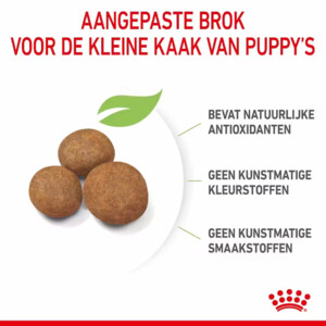 Royal Canin Hondenvoer Droog Maxi Puppy 15 kg