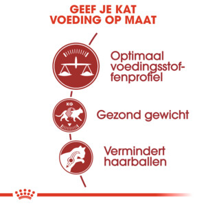 Royal Canin Kattenvoer Droog Fit 400 gr