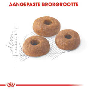 Royal Canin Kattenvoer Droog Fit 400 gr