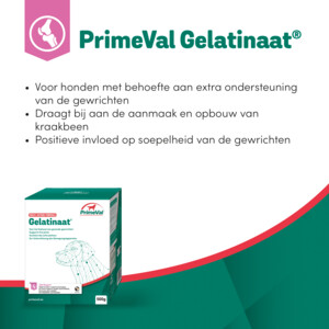 PrimeVal Gelatinaat Gewrichten Hond 500 gr