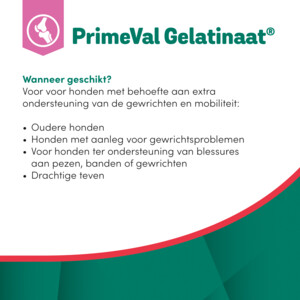 PrimeVal Gelatinaat Gewrichten Hond 500 gr
