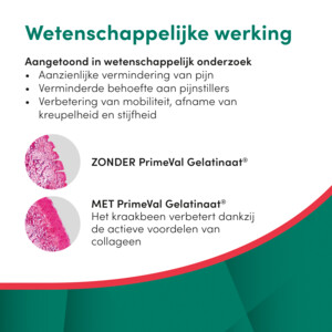 PrimeVal Gelatinaat Gewrichten Hond 500 gr