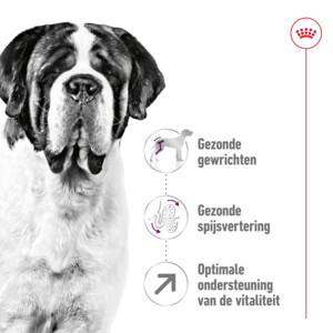 Royal Canin Hondenvoer Droog Giant Adult 4 kg
