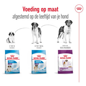 Royal Canin Hondenvoer Droog Giant Adult 4 kg