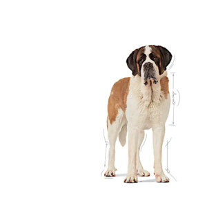 Royal Canin Giant Junior Hondenvoer 15 kg