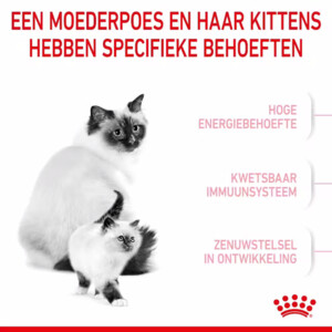 Royal Canin Mother & Babycat Kattenvoer 4 kg