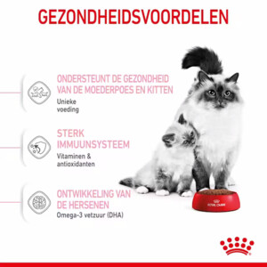 Royal Canin Mother & Babycat Kattenvoer 4 kg