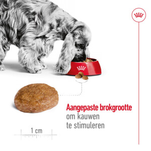Royal Canin Hondenvoer Droog Medium Adult 7+ 4 kg