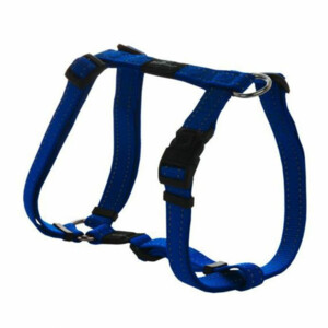 Rogz Utility Halsband Blauw - Hondenhalsband - Halsband - Pets Place