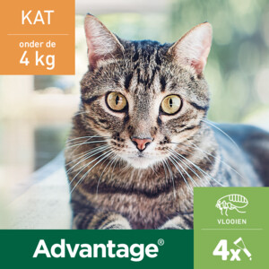 Advantage Anti Vlooiendruppels 40 Kat tot 4 kg 4 pipetten