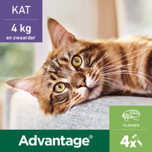 Advantage Anti Vlooiendruppels 80 Kat vanaf 4 kg 4 pipetten