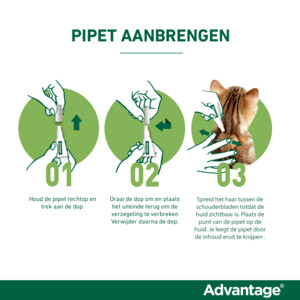 Advantage Anti Vlooiendruppels 80 Kat vanaf 4 kg 4 pipetten