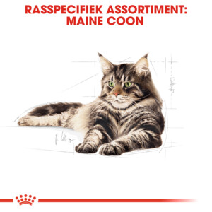 6x Royal Canin Kattenvoer Droog Maine Coon Adult 2 kg
