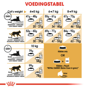 6x Royal Canin Kattenvoer Droog Maine Coon Adult 2 kg