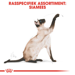 Royal Canin Kattenvoer Droog Siamees Adult 2 kg
