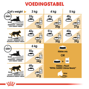 Royal Canin Kattenvoer Droog Siamees Adult 2 kg