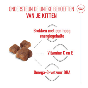 Royal Canin Kattenvoer Droog Mother & Babycat 2 kg