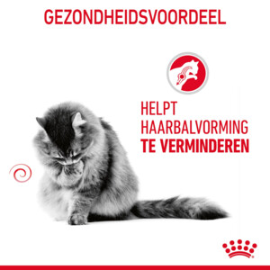 Royal Canin Kattenvoer Droog Hairball Care 2 kg