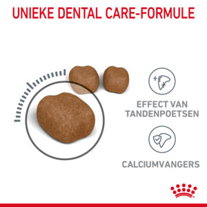 Royal Canin Dental Care Kattenvoer 3.5 kg