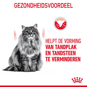 Royal Canin Kattenvoer Droog Dental Care 8 kg