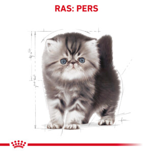 Royal Canin Kattenvoer Droog Persian Kitten 2 kg