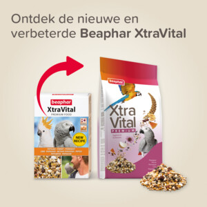 4x Beaphar XtraVital Papegaaien Vogelvoer - 63.57 euro