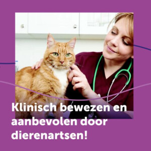 Feliway Classic Spray - 28.05 euro