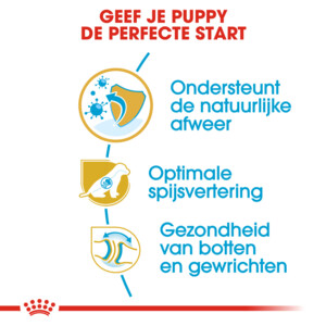 Royal Canin German Shepherd Puppy Hondenvoer 12 kg