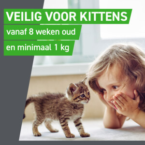 Frontline Combo Spot On Anti Vlooiendruppels Kat vanaf 1 kg 3 pipetten