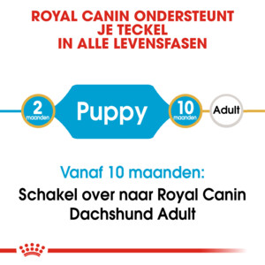 Royal Canin Hondenvoer Droog Dachshund Puppy 1,5 kg
