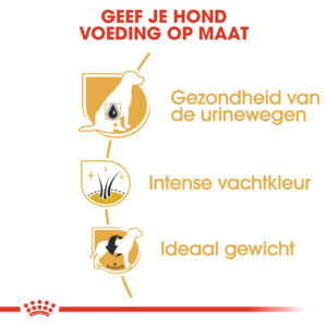 Royal Canin Mini Schnauzer Adult Hondenvoer 3 kg