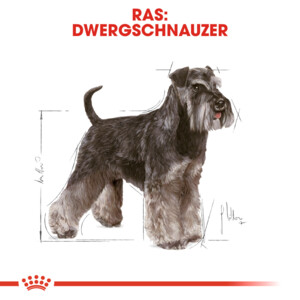 Royal Canin Mini Schnauzer Adult Hondenvoer 3 kg