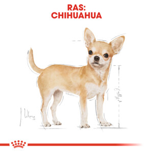 Royal Canin Hondenvoer Droog Chihuahua Adult 500 gr