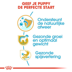 Royal Canin Hondenvoer Labrador Puppy 12 kg
