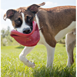 Kong Flyer Frisbee Rood 