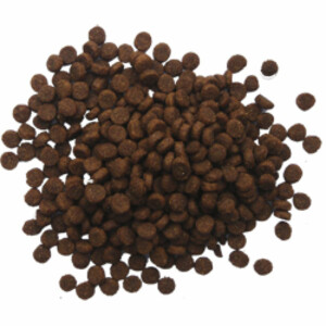 BF Petfood Puppy Hondenvoer Hondenvoer 12,5 kg