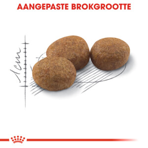 Royal Canin Kattenvoer Droog Sterilised 10 kg