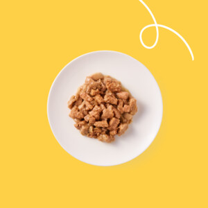 16x Yarrah Bio Kattenvoer Chunks Kip & Kalkoen 100 gr