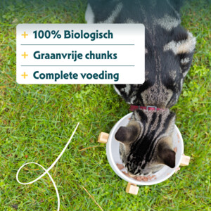 16x Yarrah Bio Kattenvoer Chunks Kip & Kalkoen 100 gr